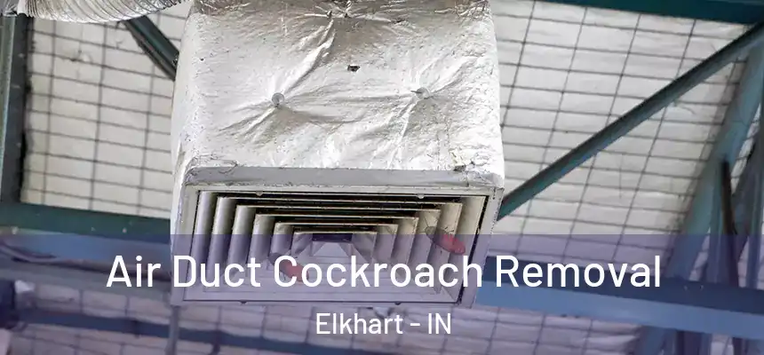 Air Duct Cockroach Removal Elkhart - IN
