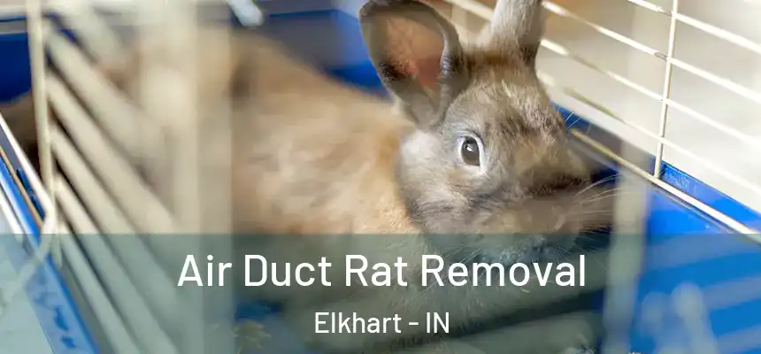  Air Duct Rat Removal Elkhart - IN