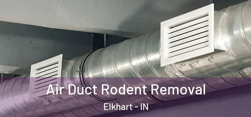 Air Duct Rodent Removal Elkhart - IN