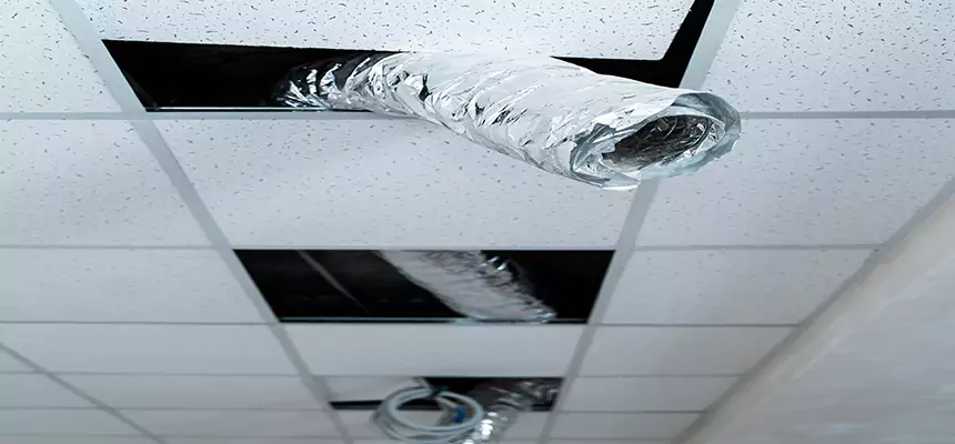 Affordable HVAC Sanitizing After Pest Removal in Elkhart