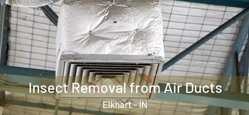  Insect Removal from Air Ducts Elkhart - IN