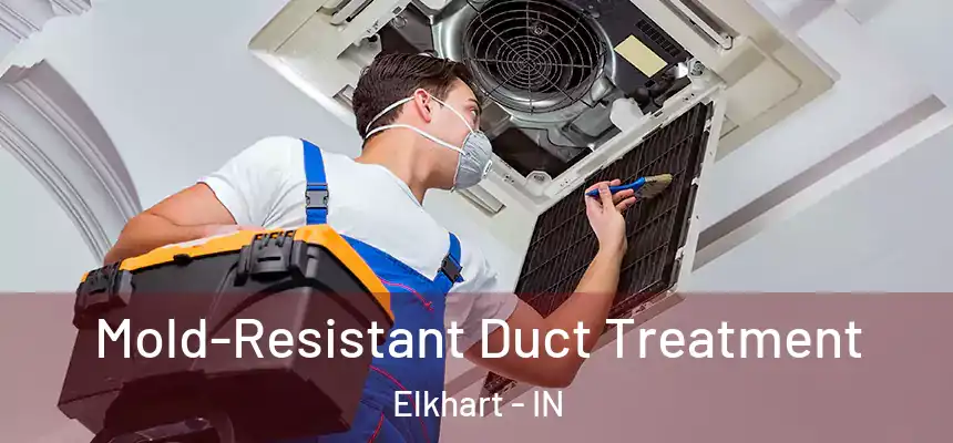  Mold-Resistant Duct Treatment Elkhart - IN