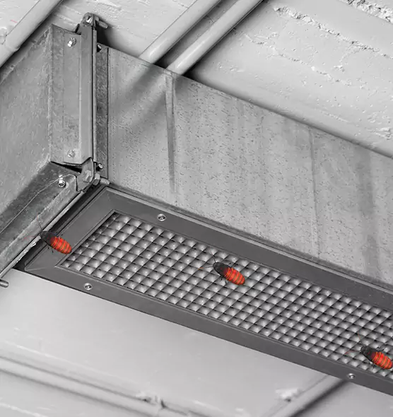 About Air Duct Cockroach Removal in Elkhart, IN