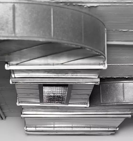 Professional Air Duct Pest Removal in Elkhart, IN