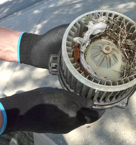 About Air Duct Rat Removal in Elkhart, IN