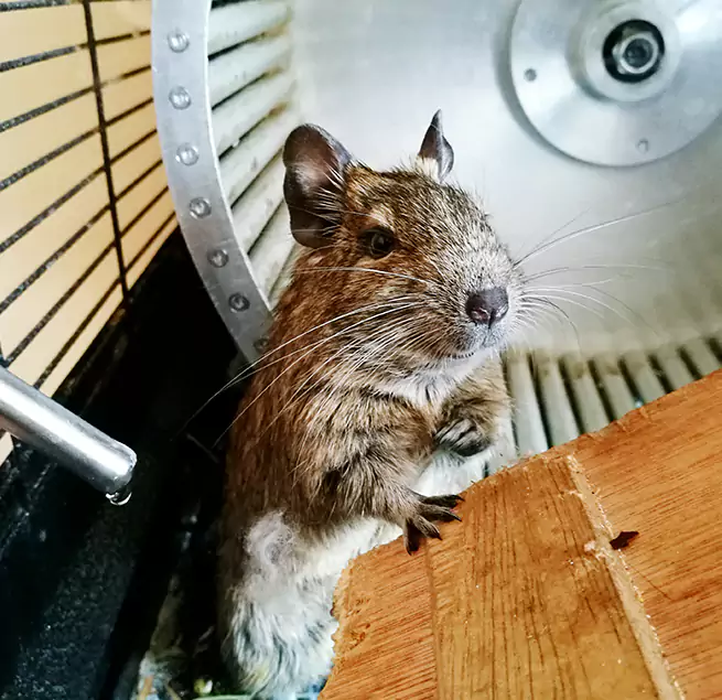 Why Homeowners & Businesses Trust Us Elkhart, IN